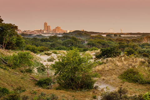 Meijendel skyline