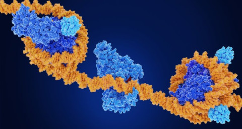 DNA-streng