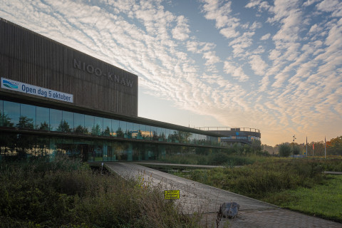 Open Dag 2019