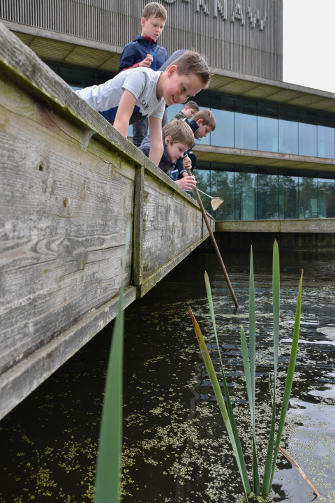 Kinderen zoeken waterdiertjes bij het NIOO