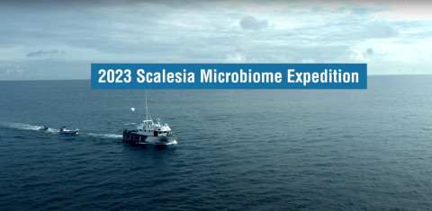 Scalesia Expedition banner 3