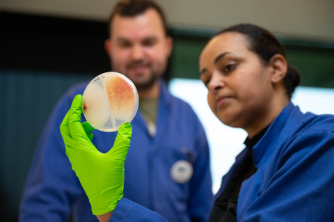 Onderzoek in het NIOO-lab om met micro-organismen uit de bodem gewassen te helpen.
