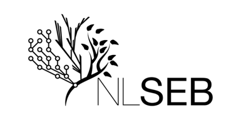 NLSEB logo