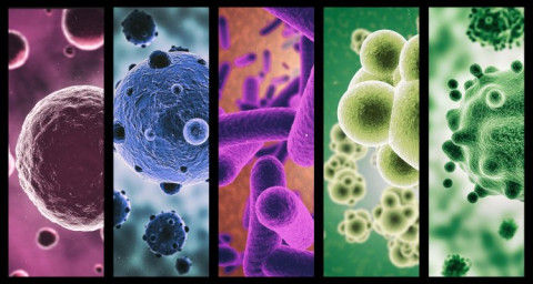 Microbiomes are everywhere