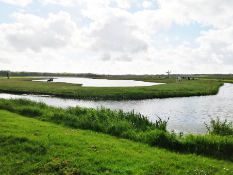 Landelijk gebied voor Living Labs