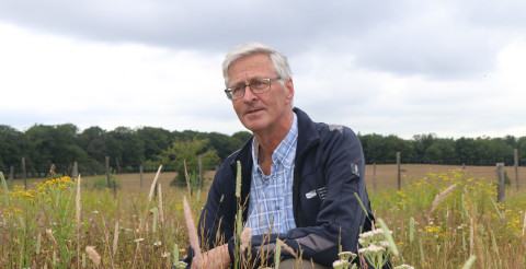Wim van der Putten