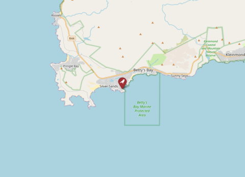 Map of Stony Point, South Africa (OpenStreetMap)