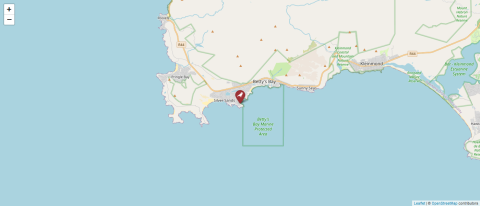 Map of Stony Point, South Africa (OpenStreetMap)