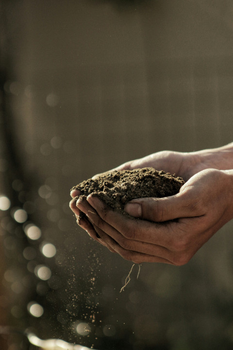 Handful of soil