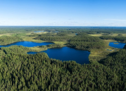 landscape with lakes