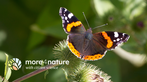 More4Nature