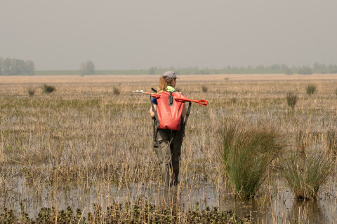 Ecoloog Kerstin Bouma draagt een waadpak en een rugzak. Ze loopt door een moeras.