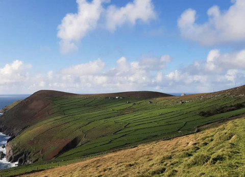 Dursey Island