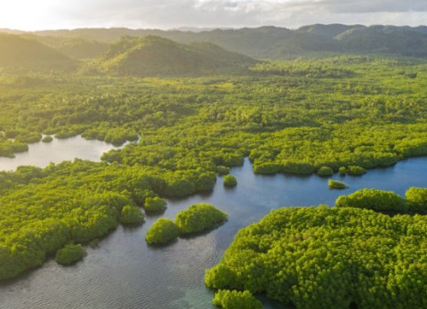Atlantic forest, Brazil, as seen from above.