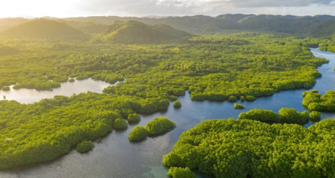 Atlantic forest, Brazil, as seen from above.