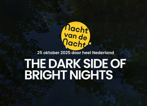 Dark side of bright nights