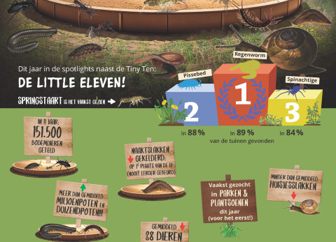 Infographic resultaten Bodemdierendagen 2025
