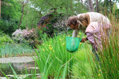 Waterdieren zoeken