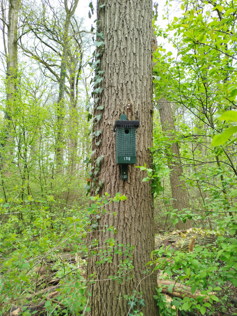 Nestkast 138 hangt aan een boom in het bos