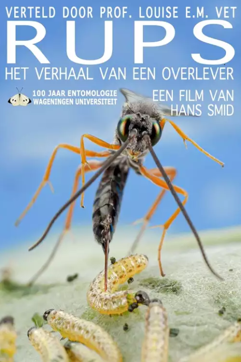 Filmposter RUPS
