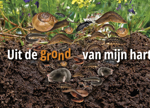 Bodemdierendagen 2026 campagnebeeld