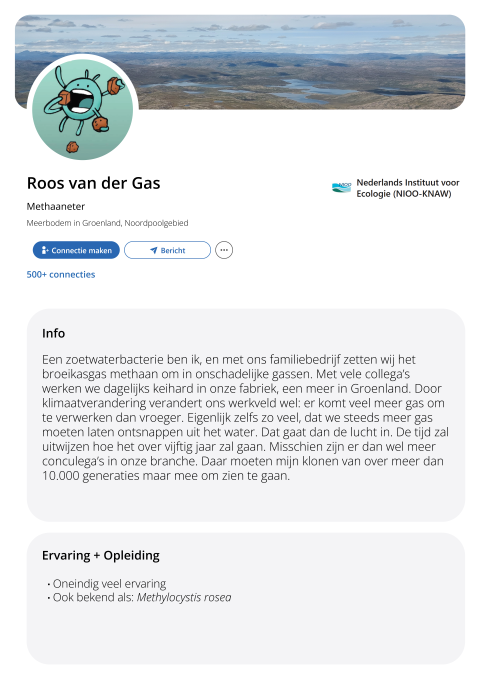 Fictief LinkedInprofiel Roos van der Gas