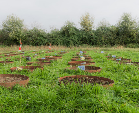 Soil Ecotron