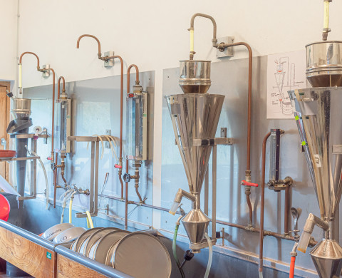 Nematode extraction & determination