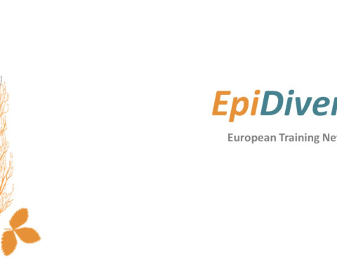 EpiDiverse logo