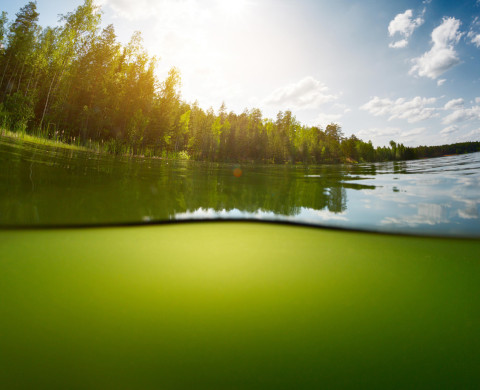 Water perspective