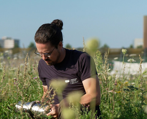 Terrestrial Ecology Nederlands Instituut voor Ecologie NIOO KNAW 