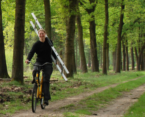 Dierecologie Nederlands Instituut voor Ecologie NIOO KNAW 