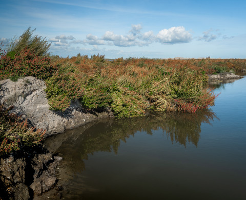 Marker Wadden 2018