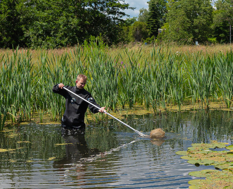 Aquatische Ecologie (vijver 3)