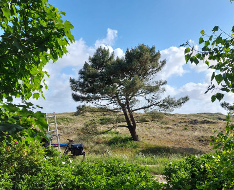 Vlieland