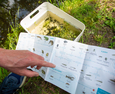 Citizen Science Watermonsters