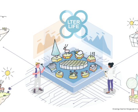 This picture tries to visualize the virtual laboratory as the place where pieces of knowledge about an ecosystem can be inspected, viewed, discussed with peers and connected