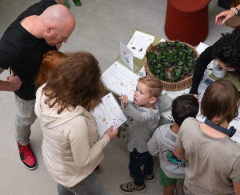 Open Dag