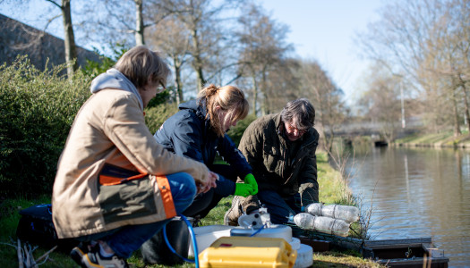 Citizen Science Rosan van Halsema