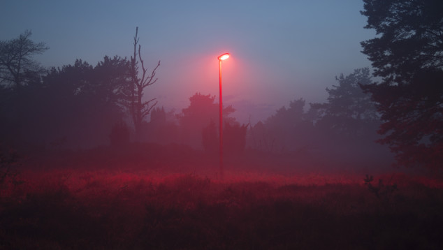 Hijkerveld (2)