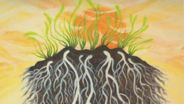 Thesis A.S. Ossowicki, Understanding disease suppressive soils