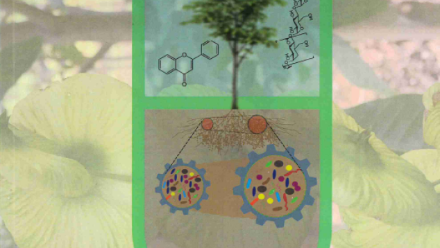 Thesis Zhikang Wang, Linking microbial inoculants and associated changes in the soil microbiome to plant-soil performance in degraded lands