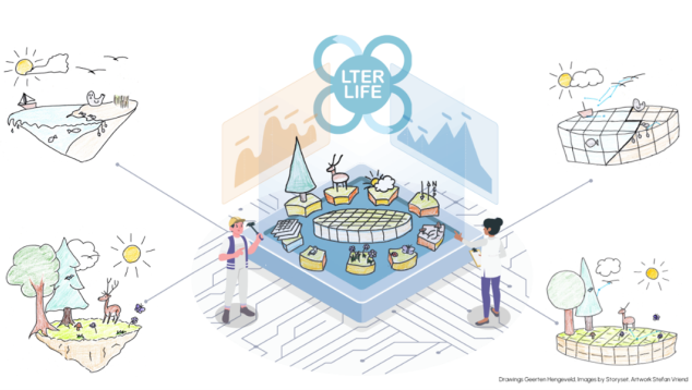 This picture tries to visualize the virtual laboratory as the place where pieces of knowledge about an ecosystem can be inspected, viewed, discussed with peers and connected
