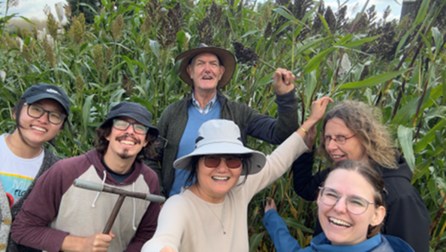 Field sampling