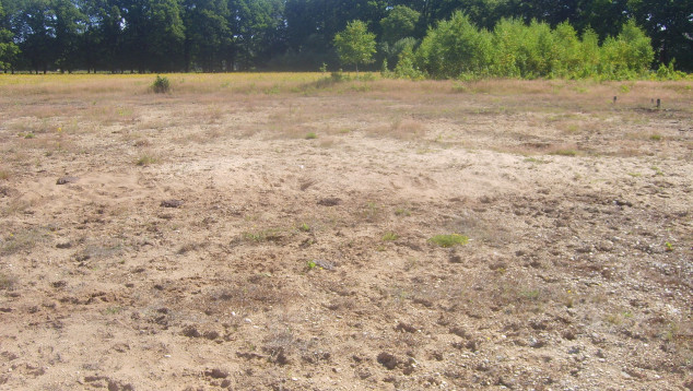 Rijerscamp afgegraven