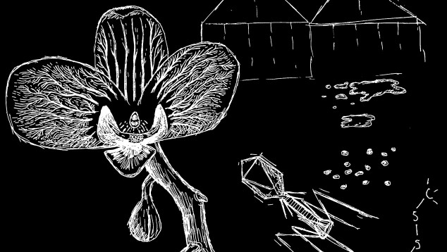 Sketch with an orchid, diverse microbes and greenhouses in the background, 