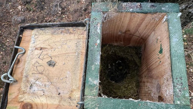 Open nestkast