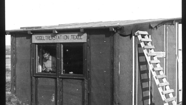 Vogeltrekstation Texel