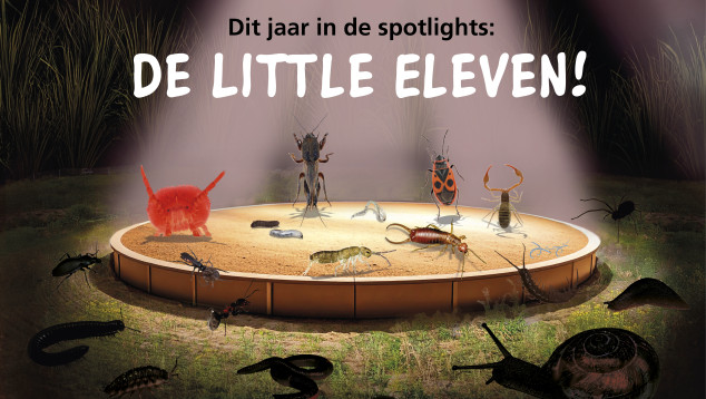 De Bodemdierendagen 2025: Little Eleven!