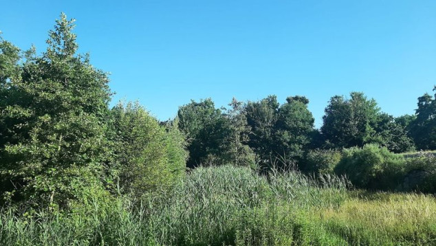 Beleef de lente